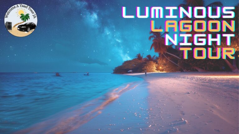 Luminous Lagoon Night Tour